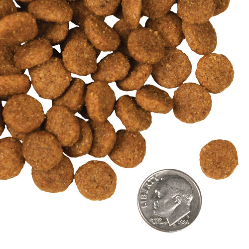 Fromm - Pork & Applesauce Dry Dog Food
