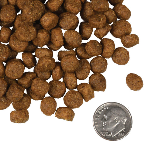 Fromm - Salmon A La Veg Recipe Dry Dog Food
