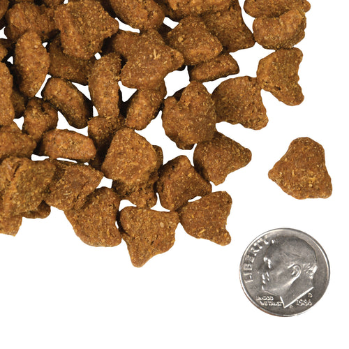 Fromm - Zealambder Recipe Dry Dog Food