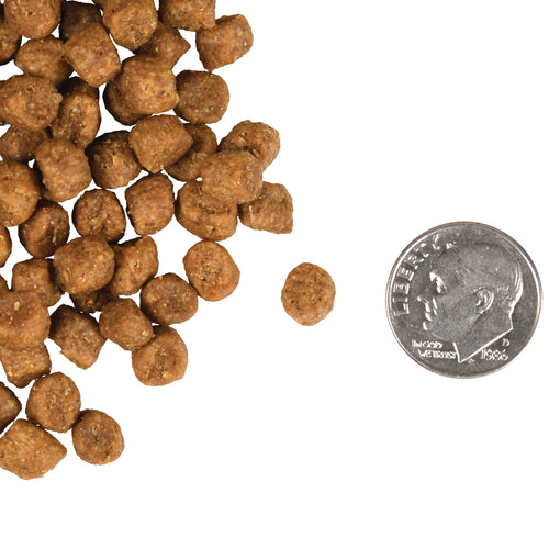 Fromm - Indoor Gold Dry Cat Food