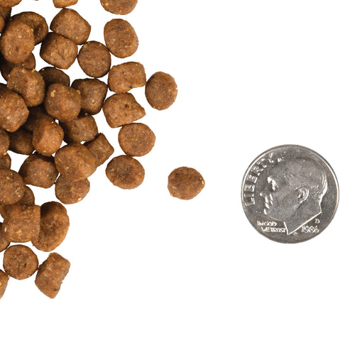 Fromm - Kitten Gold Dry Cat Food
