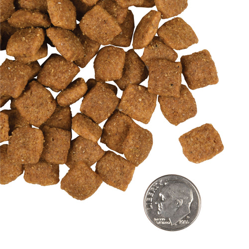 Fromm - Adult Gold Dry Dog Food