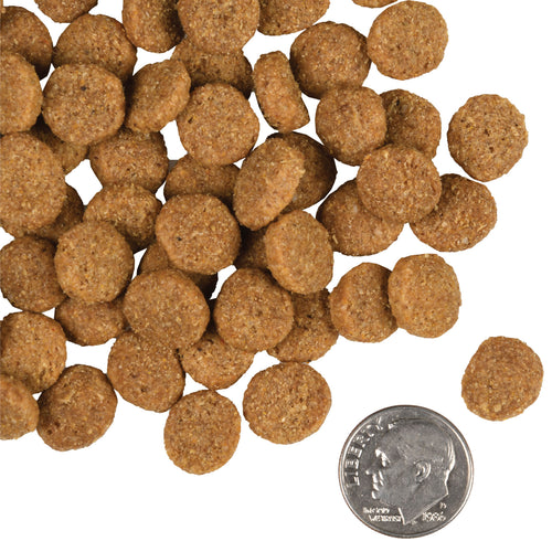 Fromm - Large Breed Adult Gold Dry Dog Food