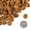 Fromm - Large Breed Weight Management Gold Dry Dog Food