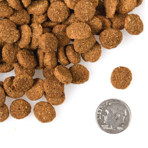 Fromm - Large Breed Weight Management Gold Dry Dog Food