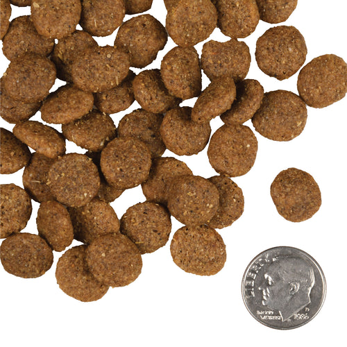 Fromm - Reduced Activity & Senior Gold Dry Dog Food