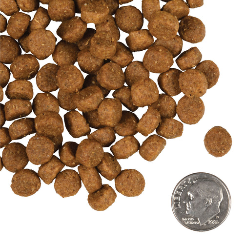 Fromm - Small Breed Adult Gold Dry Dog Food