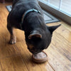 Tall Tails - Wiggle Waffle Chew Dog Toy