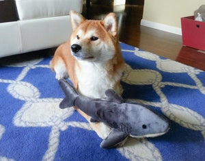 Fluff & Tuff - Mac the Shark Dog Toy