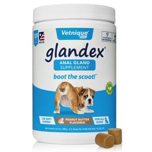 Glandex - Anal Gland Supplement PB Flavored with Pumpkin for Dogs