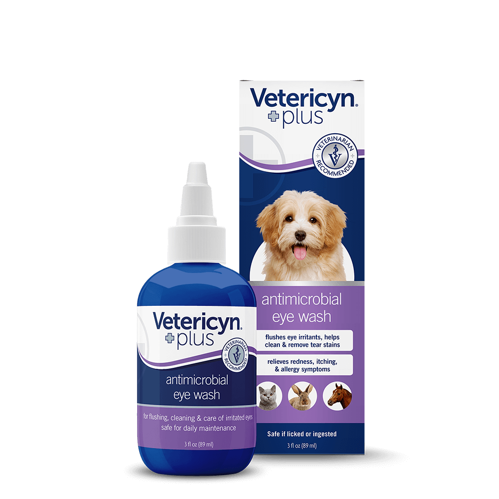 Silver Honey Rapid Ear Care Vet Strength Pet Wipes