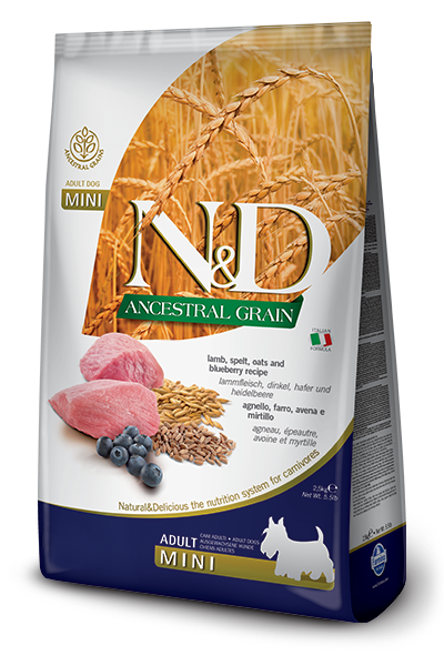 Farmina - N&D Ancestral Grain Lamb & Blueberry Recipe Adult Mini Breed Dry Dog Food