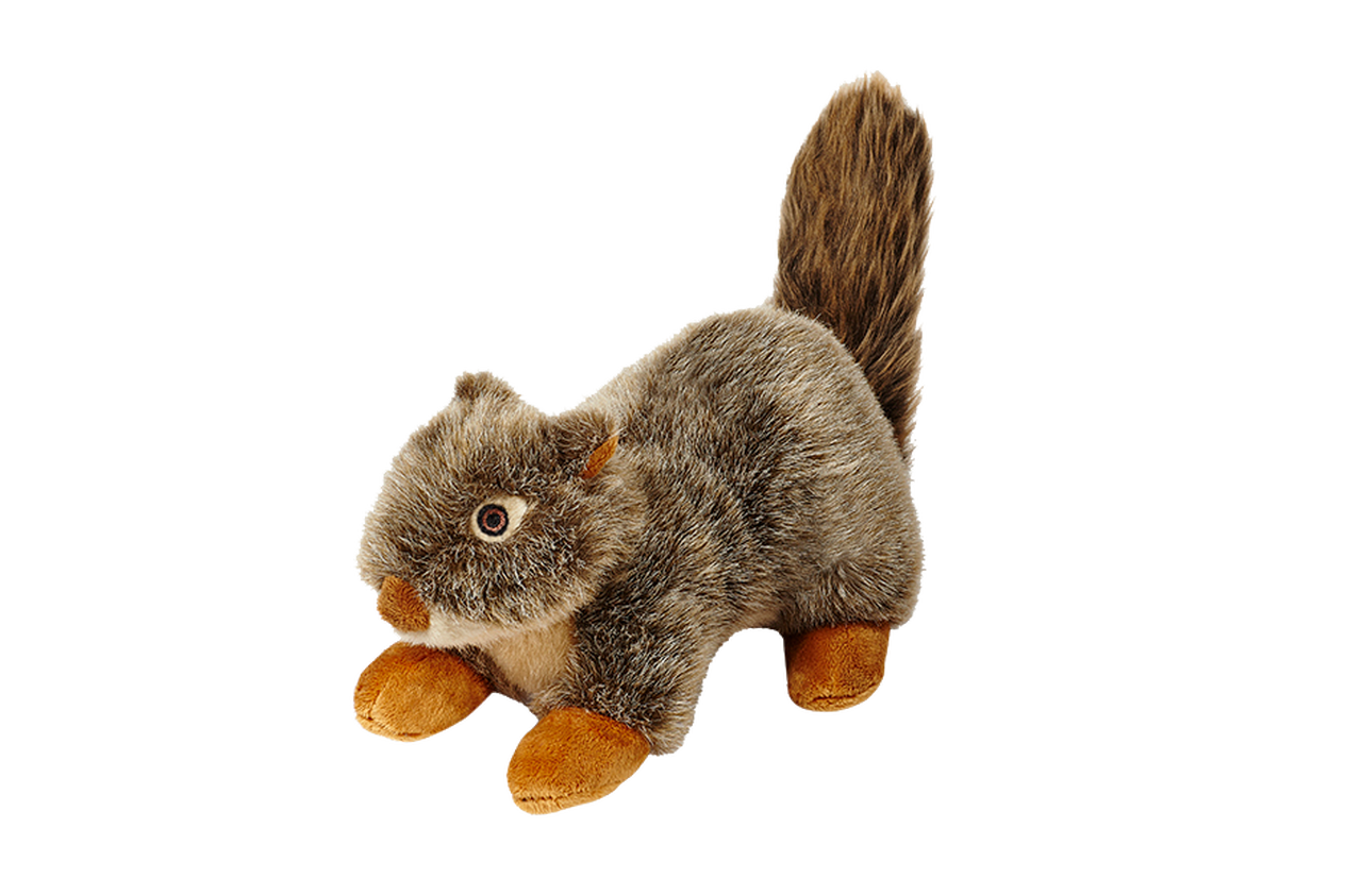 Bark Box M-L Destroyers Club Critters Brown Squirrel Shredders Plush Dog  Toy New
