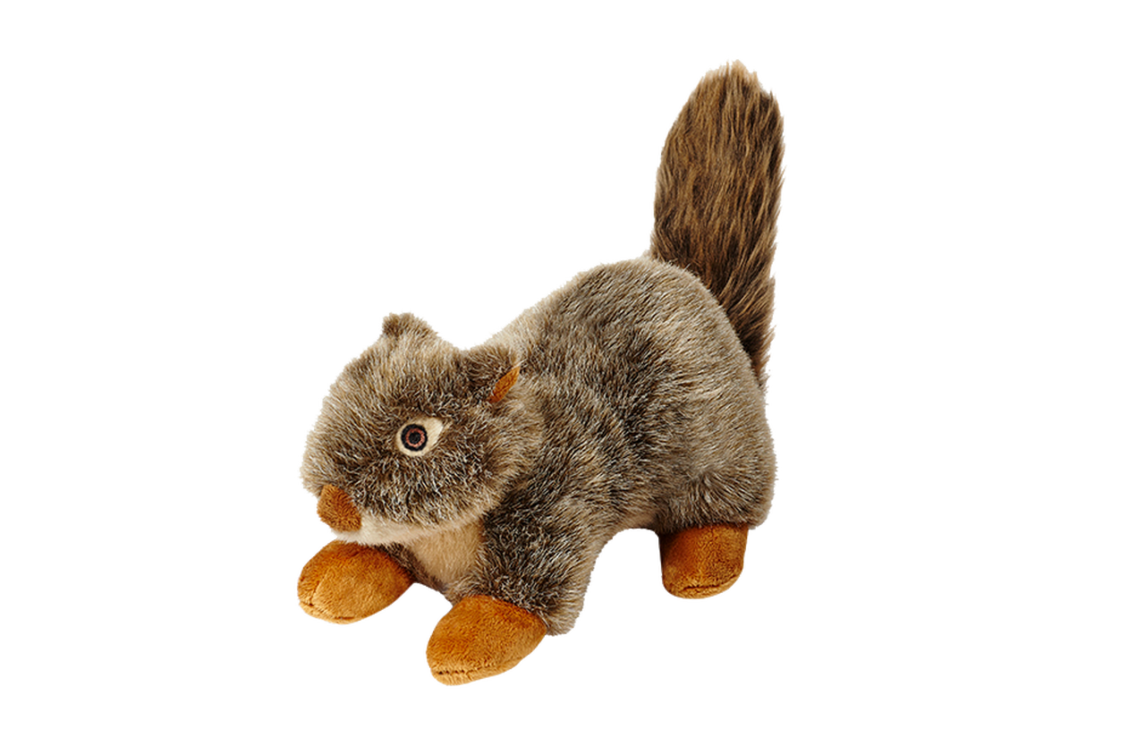 Squirrel top dog toy