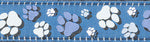 RC Pet - Fresh Tracks Blue Dog Leash