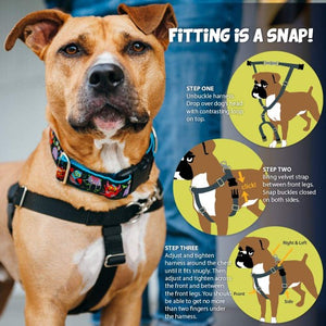 2 Hounds Design - Freedom No-Pull Dog Harness