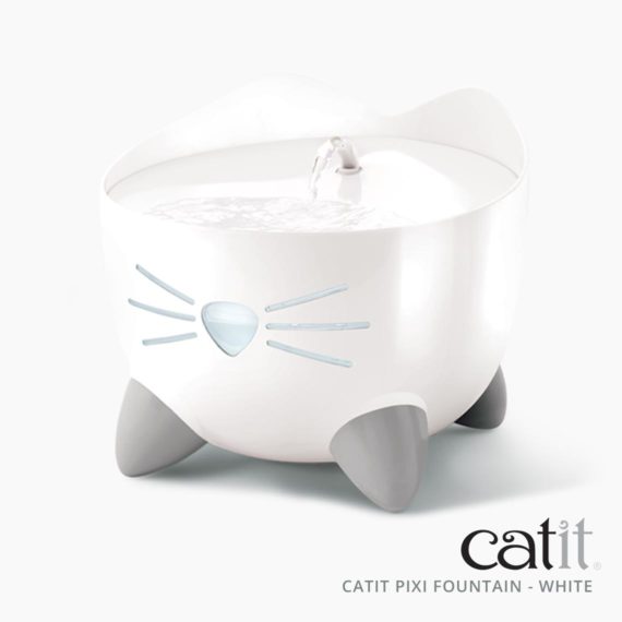 Mini sales cat fountain