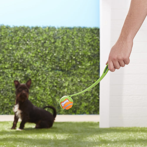 Chuckit! - Launchers for Dogs