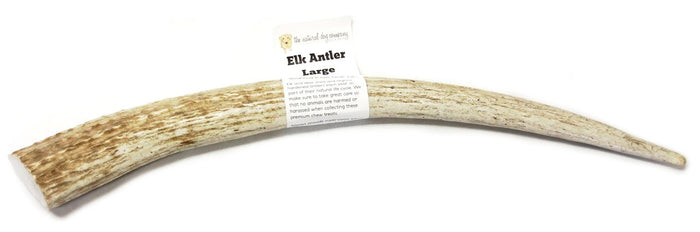 Tuesday's Natural Dog - Elk Antler (Assorted Sizes)