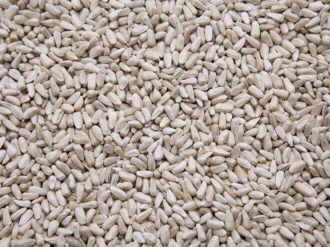 Des Moines Feed - Safflower Seed