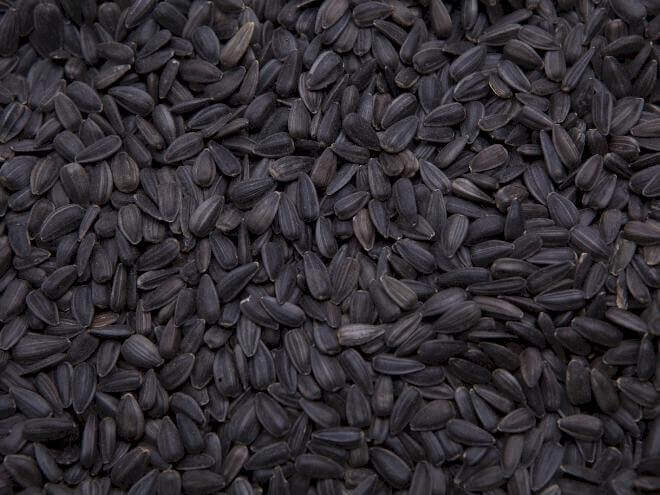 Des Moines Feed - Black-Oil Sunflower Seed