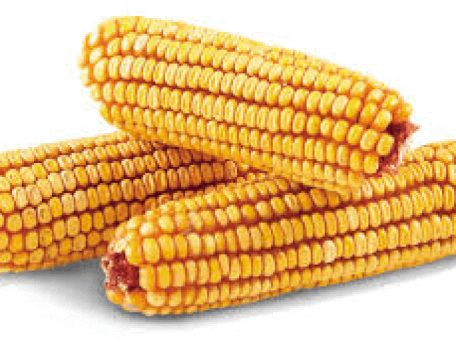 Des Moines Feed - Ear Corn