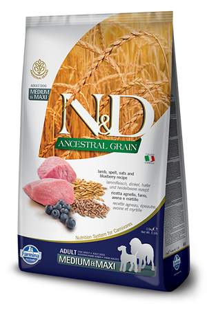 Farmina - N&D Ancestral Grain Lamb & Blueberry Med/Maxi Dry Dog Food