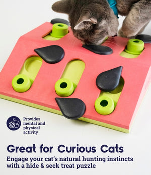 Outward Hound - Melon Madness Puzzle & Play Cat Game