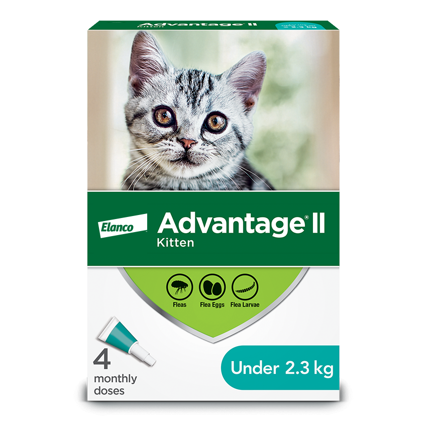 Advantage 2 dog hot sale dosage for cats