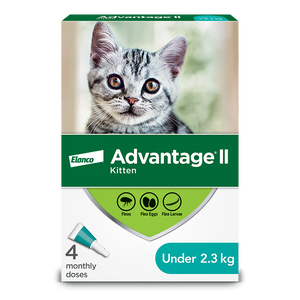 Elanco - Advantage II Cat Vet-Recommended Flea Treatment & Prevention