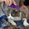 Kong - Cat ZoomGroom Cat Brush