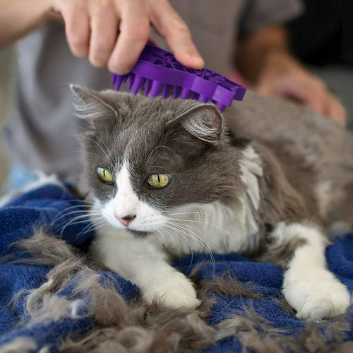 Kong - Cat ZoomGroom Cat Brush