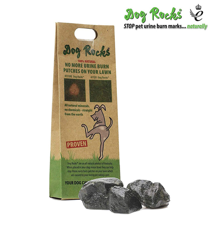 Podium Pet Products - Dog Rocks