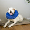 Kong - Cloud Collar
