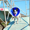 Kong - EZ Soft™ Collar