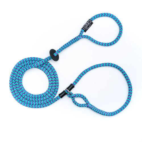 Harness and lead in one deals