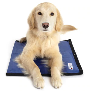 Cooler Dog - Hydro Cooling Mat