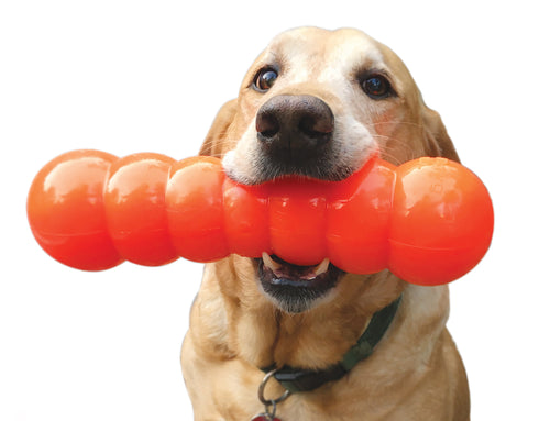 Ruff Dawg - Dawg Buster Dog Toy