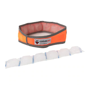 Cooler Dog - High-Vis Cooling Collar