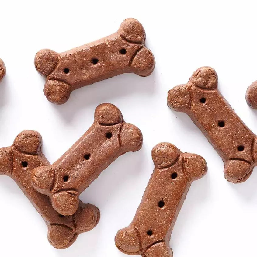 Gourmet dog treats online