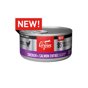 Orijen - Chicken & Salmon Wet Kitten Food