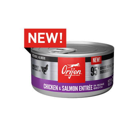 Orijen - Chicken & Salmon Wet Kitten Food