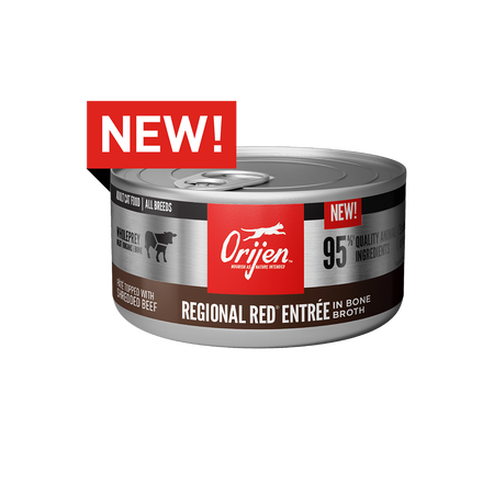 Orijen - Regional Red Wet Cat Food