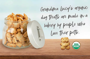 Grandma Lucy's - Organic Pumpkin Dog Treats