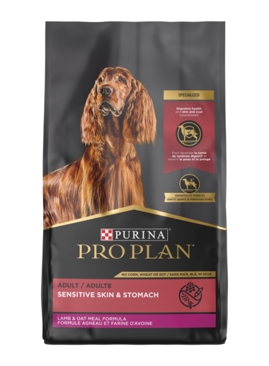 Purina Pro Plan - Adult Sensitive Skin & Stomach Lamb & Oat Meal Formula Dry Dog Food