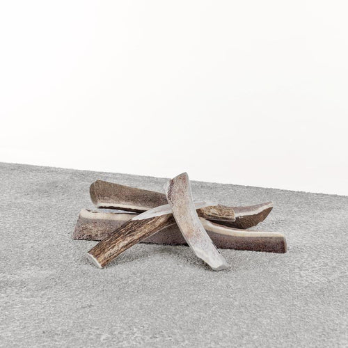 Primal - Stag Antlers for Dogs