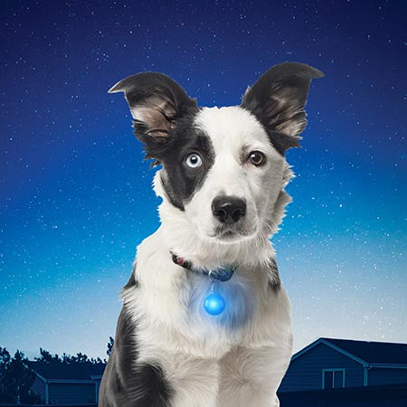 Nite Ize - SPOTLIT® COLLAR LIGHT