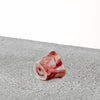 Primal - Raw Beef Marrow Recreational Bones - PICK UP ONLY