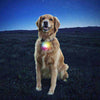 Nite Ize - SPOTLIT® COLLAR LIGHT