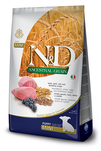 Farmina - N&D Ancestral Grain Lamb & Blueberry Puppy Mini Dry Dog Food